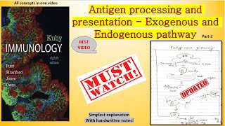 Antigen processing and presentation MHC class ll   exogenous pathway best video [upl. by Eniamahs120]