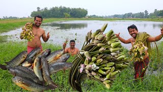 ডোবা থেকে শাপলা তুলে পাকা হলুদ কৈ মাছ দিয়ে জমিয়ে রান্না করে খাওয়া  Climbing perch amp water lily [upl. by Analad486]