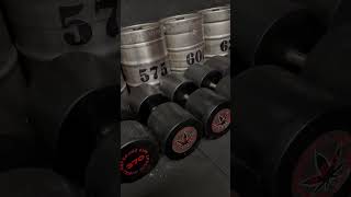 World’s Heaviest Kegs amp Dumbbell Sets [upl. by Anuhsal]