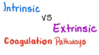 Intrinsic vs Extrinsic Coagulation pathways  Hemostasis  Bleeding and Coagulation [upl. by Tolecnal6]