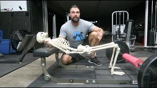 Heavy Hip Thrusts Done Right are Not Dangerous [upl. by Cantu]