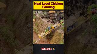 Revolutionize Your Chicken Coop Next Level Farming Tips viralshorts trending facts [upl. by Yrreiht]