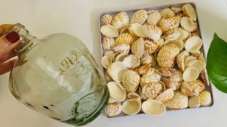 Bottle Decoration With Sea Shell  Home Decorating Ideas  Seashell Bottle Art [upl. by Neyut]