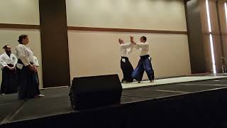 2024 Anime Magic aikido demo by Chicago Aikikai Opening [upl. by Dnalhsa997]