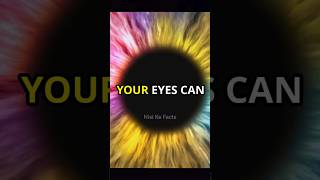 5 Amazing Facts About Human Eyes shorts facts eyes [upl. by Lechar216]