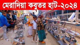 মেরাদিয়া কবুতর হাট২০২৪  kobutor hat 2024  pigeon market in bangladesh  meradiya kobutor hat [upl. by Annirac348]