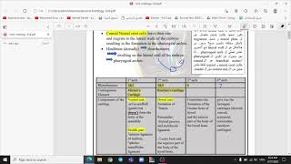 Oral Histology  Development of orofacial region  Salah Alqudah  Part 1 [upl. by Naimerej]