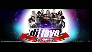 Dj Tavo  MIX INTENTALO VARIADO [upl. by Eybba]