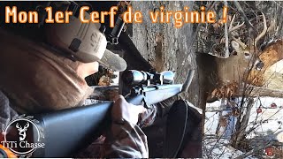 Teaser Mon 1er cerf de Virginie au Québec [upl. by Aicilaanna429]