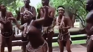 Africa the root of joy music and dance [upl. by Donica]