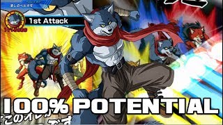 WOLF BRIGADE 100 PHY BERGAMO SHOWCASE Dragon Ball Z Dokkan Battle [upl. by Ees]