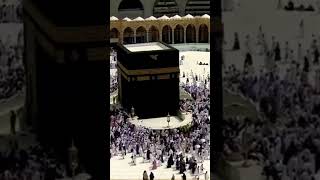 makkah live [upl. by Accalia518]