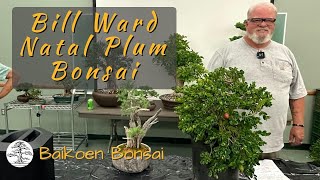 Bill Ward  Natal Plum Demonstration  April 2024  Club Meeting  Baikoen Bonsai Club [upl. by Malvin]