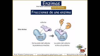 Enzimas generalidades  Enzimas parte I [upl. by Eidurt]