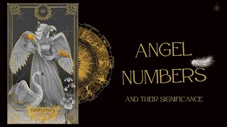 Angel Numbers amp their significance ✨ [upl. by Valera]