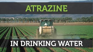 Atrazine Contamination In Drinking Water What You Need To Know [upl. by Kylynn]