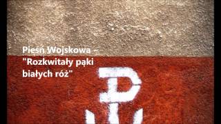 Rozkwitały pąki białych róż  Białe Róże  Piękna Pieśń Patriotyczna [upl. by Adli]