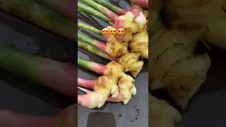 Harvesting ginger for the first time [upl. by Ylyl362]