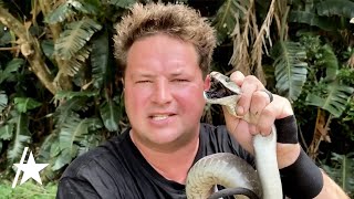 Dingo Dinkelman YouTube Reptile Handler Dead After Snake Bite [upl. by Akoek]