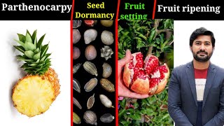 184 Parthenocarpy  Seed Dormancy  Fruit setting and ripening fsc Biology class 12 [upl. by Lateh717]