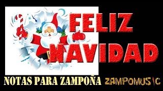 Feliz Navidad tutorial notas para zampoña audio off [upl. by Farra]