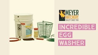 Meyer Hatchery  Incredible Egg Washer [upl. by Oicnecserc]