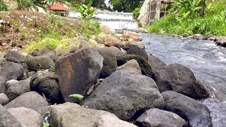 Relaxing with Water Sounds of a Dynamic Mountain River to Insomnia Studying Meditating and ASMR [upl. by Dorehs]