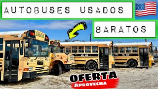 ‼️AUTOBUSES escolares USADOS en VENTA en EEUU 2023 Precios De USA‼️ [upl. by Akerdna]