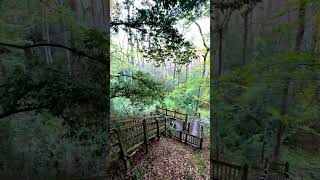 Boardwalk in Kalmia Gardens [upl. by Owen980]