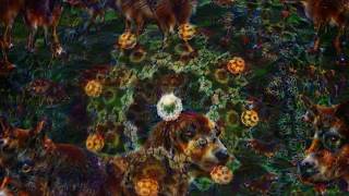 ACID EYE 360  Psychedelic Deep Dream Fractal Trip [upl. by Aratihc]