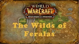 World of Warcraft Quest The Wilds of Feralas Alliance [upl. by Yrrap]