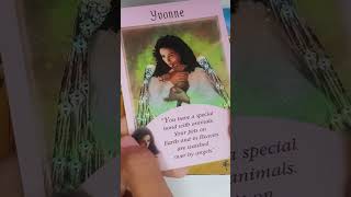 🐱🪶YOUR ANGELS WANTS YOU TO KNOW THIS pt 1🔮🐱 solunar tarot  fortunetelling tarot angelmassage [upl. by Deanne]