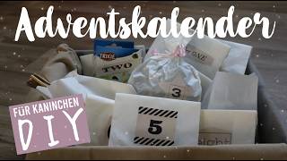 Adventskalender für Kaninchen  DIY  Kaninchenstar [upl. by Sumer]