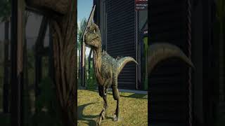 JWE2 Ports  Alloraptor  quotVelociraptor Rigquot  Jurassic World Evolution 2 Shorts Whatsapp [upl. by Irrej]