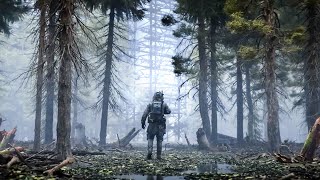 STALKER 2 Heart of Chornobyl Looks INSANELY GOOD First Impressions [upl. by Paza]