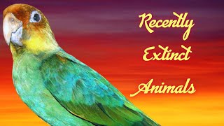 Recently Extinct Animals 4K [upl. by Anehc]