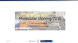 SYNB0WL1Molecular Cloning Fundamentals [upl. by Esikram]