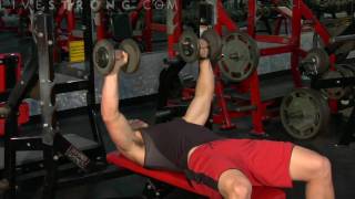 How to Do Flat Bench Dumbbell Press [upl. by Stevie]