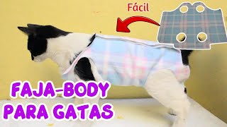 FajaBody para gata esterilizada ¿Cómo hacer una faja post operatoria para gatas [upl. by Aknaib]