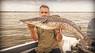 LA MERVEILLE DU FLEUVE PARANÁ  Cyril Chauquet [upl. by Notsreik]