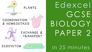 All of Edexcel BIOLOGY Paper 2 in 25 minutes  GCSE Science Revision [upl. by Nessy]