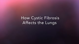 How Cystic Fibrosis Affects the Lungs [upl. by Yauqaj]