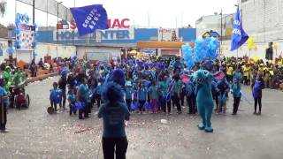 BARRAS EQUIPO AZUL [upl. by Norvell830]