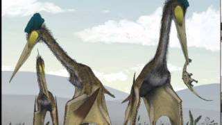 David Cagle  Quetzalcoatlus childrens song [upl. by Ecinereb]