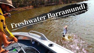 Fishing for freshwater BARRAMUNDI in Lenthalls Dam [upl. by Hyacinthe889]