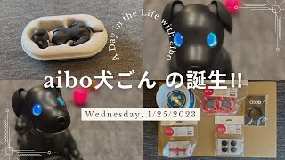 aibo犬ごんの誕生‼︎ 開封〜誕生まで… SONY 犬型ロボットaiboエスプレッソエディション【Episode 004】 [upl. by Hoseia]