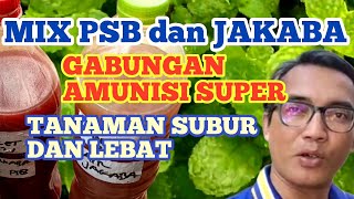 Manfaat Dahsyat PSB Super Jakaba Semua Petani Harus Tahu [upl. by Eninnaej153]