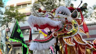 Honolulu Lunar New Year Parade amp Night in Chinatown 2024 Highlights [upl. by Burkhardt]