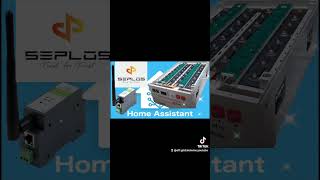 Integrazione bms seplos V3 fotovoltaico fotovoltaicofaidate seplos electrician homeassistant [upl. by Trefor]