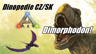 ARK  Dinopedie  Dimorphodon  CZSK [upl. by Sirtaeb]